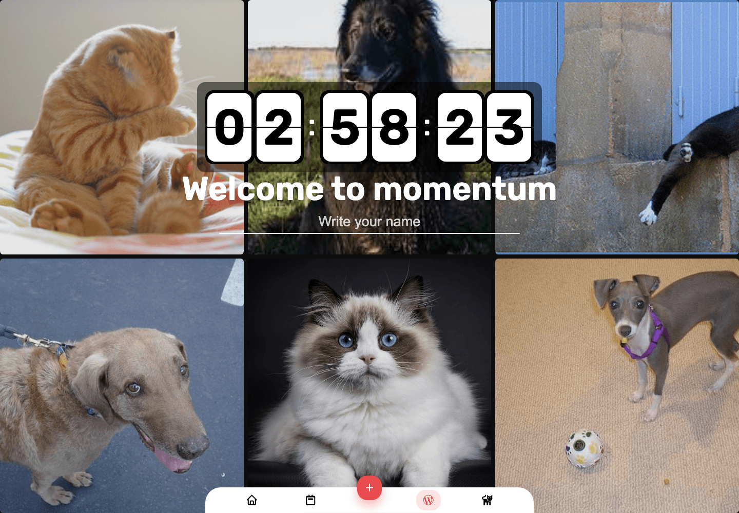 Momentum Widget tab 화면