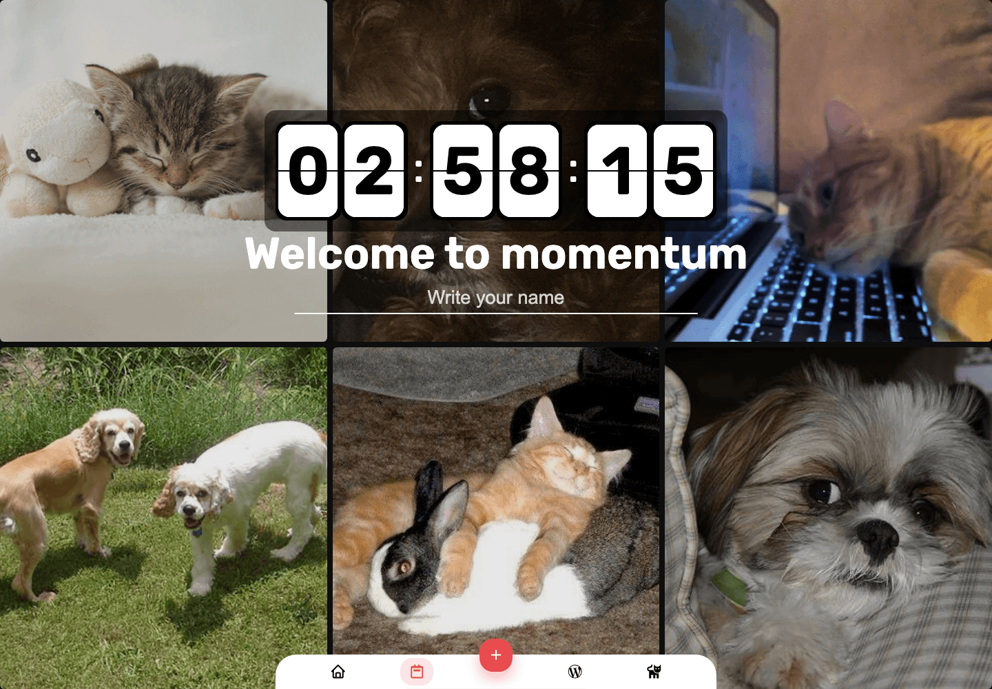Momentum Calendar tab 화면