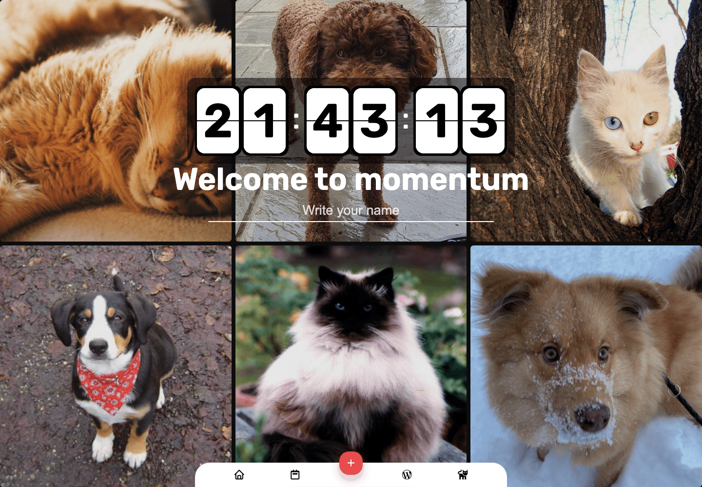 Momentum Dashboard 화면